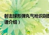 射击球形弹丸气枪识别图谱（关于射击球形弹丸气枪识别图谱介绍）