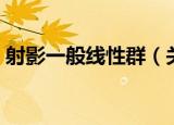 射影一般线性群（关于射影一般线性群介绍）