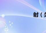 射（关于射介绍）