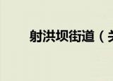 射洪坝街道（关于射洪坝街道介绍）