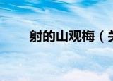 射的山观梅（关于射的山观梅介绍）
