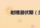 射精潜伏期（关于射精潜伏期介绍）