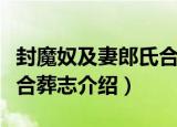 封魔奴及妻郎氏合葬志（关于封魔奴及妻郎氏合葬志介绍）