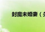 封魔未婚妻（关于封魔未婚妻介绍）