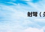 射弩（关于射弩介绍）