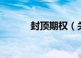 封顶期权（关于封顶期权介绍）