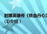 射雕英雄传《铁血丹心》(1)（关于射雕英雄传《铁血丹心》(1)介绍）