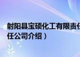 射阳县宝硕化工有限责任公司（关于射阳县宝硕化工有限责任公司介绍）
