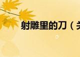 射雕里的刀（关于射雕里的刀介绍）