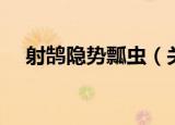 射鹄隐势瓢虫（关于射鹄隐势瓢虫介绍）