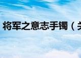 将军之意志手镯（关于将军之意志手镯介绍）