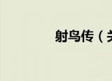 射鸟传（关于射鸟传介绍）