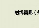 射线管胞（关于射线管胞介绍）