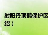 射阳丹顶鹤保护区（关于射阳丹顶鹤保护区介绍）