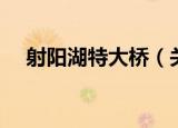 射阳湖特大桥（关于射阳湖特大桥介绍）