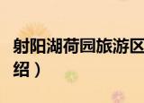 射阳湖荷园旅游区（关于射阳湖荷园旅游区介绍）