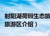 射阳湖荷园生态旅游区（关于射阳湖荷园生态旅游区介绍）