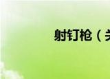 射钉枪（关于射钉枪介绍）