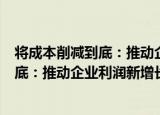 将成本削减到底：推动企业利润新增长（关于将成本削减到底：推动企业利润新增长介绍）