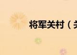 将军关村（关于将军关村介绍）