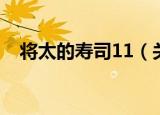 将太的寿司11（关于将太的寿司11介绍）