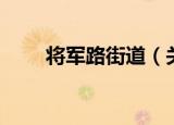 将军路街道（关于将军路街道介绍）