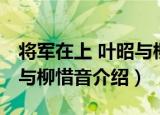 将军在上 叶昭与柳惜音（关于将军在上 叶昭与柳惜音介绍）