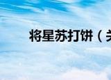 将星苏打饼（关于将星苏打饼介绍）