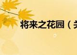 将来之花园（关于将来之花园介绍）