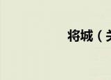 将城（关于将城介绍）