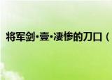 将军剑·壹·凄惨的刀口（关于将军剑·壹·凄惨的刀口介绍）