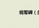 将军碑（关于将军碑介绍）
