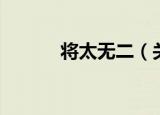 将太无二（关于将太无二介绍）