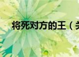 将死对方的王（关于将死对方的王介绍）