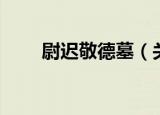 尉迟敬德墓（关于尉迟敬德墓介绍）