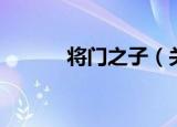 将门之子（关于将门之子介绍）