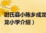 尉氏县小陈乡成龙小学（关于尉氏县小陈乡成龙小学介绍）