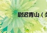 尉迟青山（关于尉迟青山介绍）