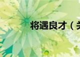 将遇良才（关于将遇良才介绍）