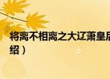 将离不相离之大辽萧皇后（关于将离不相离之大辽萧皇后介绍）