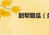 尉犁甜瓜（关于尉犁甜瓜介绍）