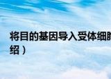 将目的基因导入受体细胞（关于将目的基因导入受体细胞介绍）