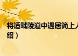 将适毗陵道中遇居简上人（关于将适毗陵道中遇居简上人介绍）