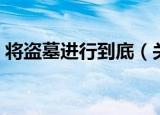 将盗墓进行到底（关于将盗墓进行到底介绍）