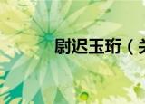 尉迟玉珩（关于尉迟玉珩介绍）