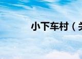 小下车村（关于小下车村介绍）