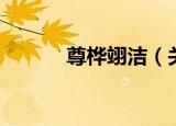 尊桦翊洁（关于尊桦翊洁介绍）