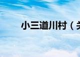 小三道川村（关于小三道川村介绍）