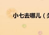 小七去哪儿（关于小七去哪儿介绍）