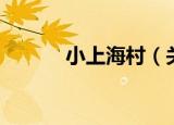 小上海村（关于小上海村介绍）